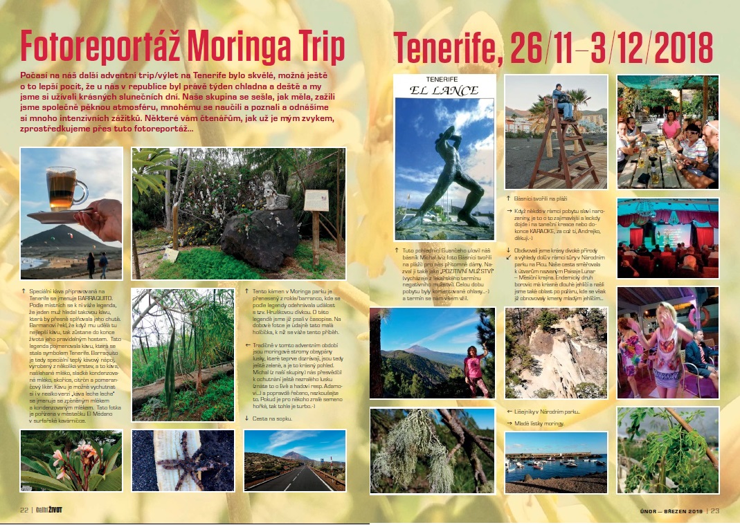 Moringa Trip dvoustrana